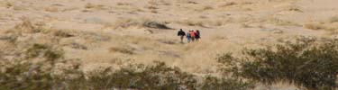 People hiking up to the Kelso Dunes